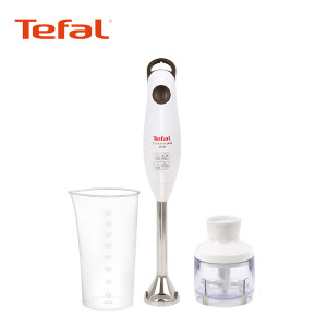 테팔 터보믹스 플러스 핸드블렌더 HB1021